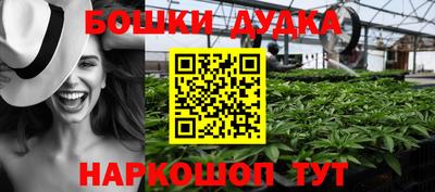 амф Кингисепп