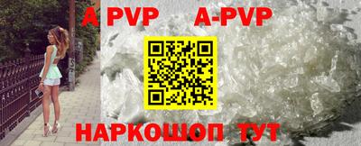 амф Кингисепп